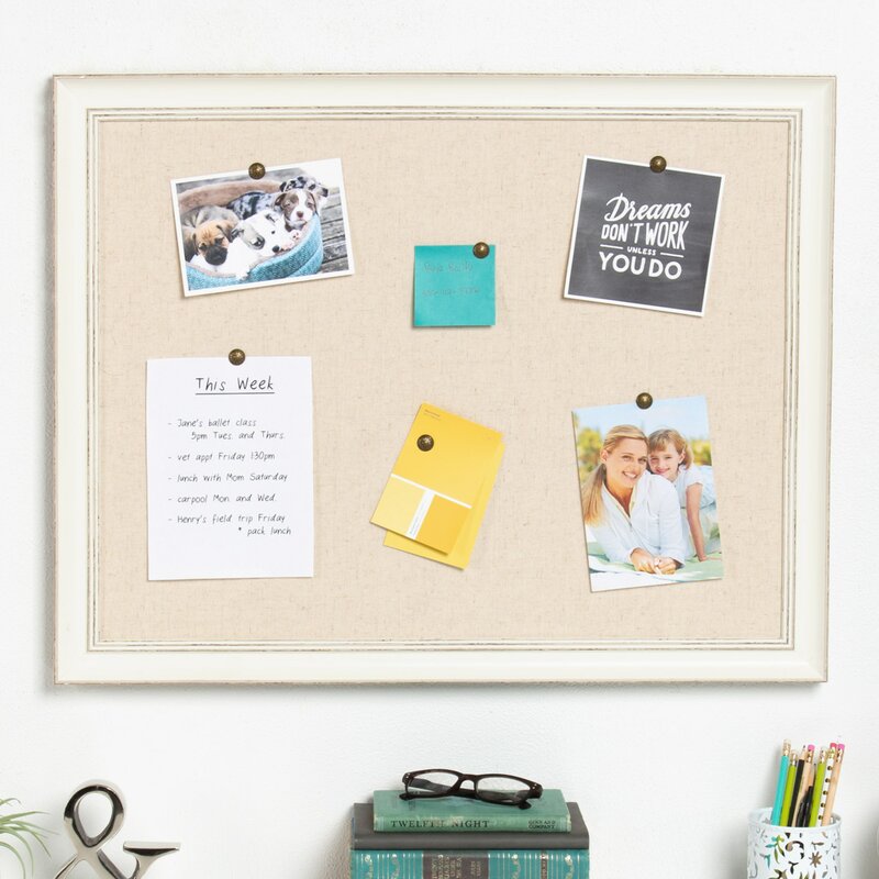 Wall Mounted Bulletin Board And Reviews Birch Lane